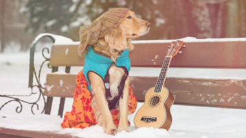 How to protect your musical instrument in autumn and winter