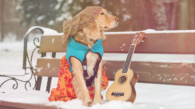How to protect your musical instrument in autumn and winter